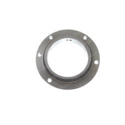 Picture of Ring