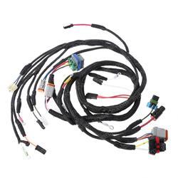 Picture of Harness