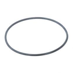 Picture of O-Ring