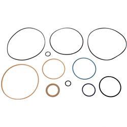 Picture of Seal Kit - Hydrostatic Motor