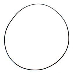 Picture of O-Ring