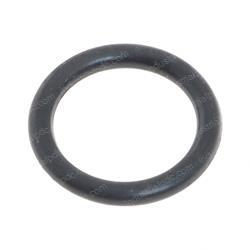 Picture of O-Ring