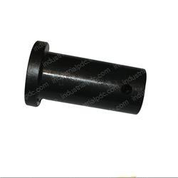 Picture of Ram Spring
