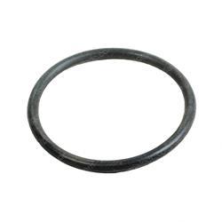 Picture of O-Ring