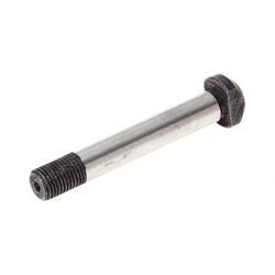 Picture of Bolt