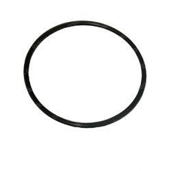Picture of O-Ring