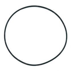 Picture of O-Ring