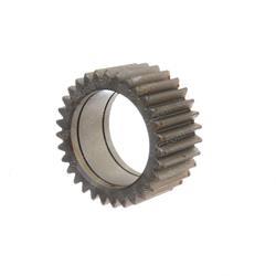 Picture of Gear Z=31