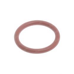 Picture of O-Ring