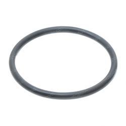 Picture of O-Ring