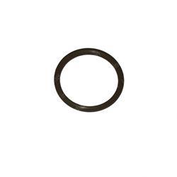 Picture of O-Ring
