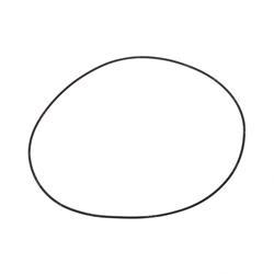 Picture of O-Ring