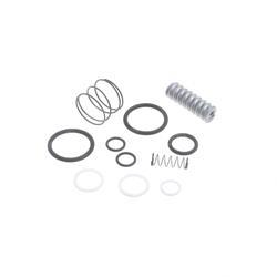 Picture of Seal + Spring Kit - Mcv