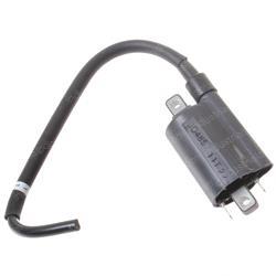 Picture of Coil - Ignition