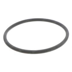 Picture of O-Ring