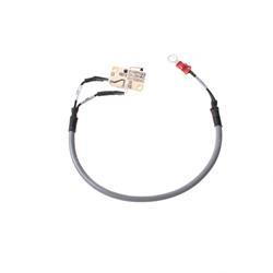 Picture of Wiring Harness