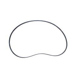 Picture of Belt - Serpentine