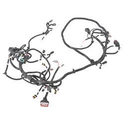 Picture of Wire Harness -  Main Man-Hydra