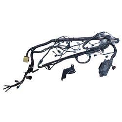 Picture of Harness
