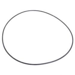 Picture of O-Ring