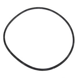 Picture of O-Ring