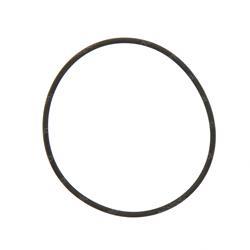 Picture of O-Ring