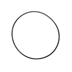 Picture of O-Ring