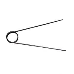 Picture of Spring Torsion