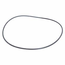 Picture of O-Ring