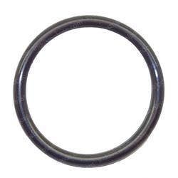 Picture of O-Ring