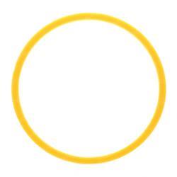 Picture of Ring - Backup