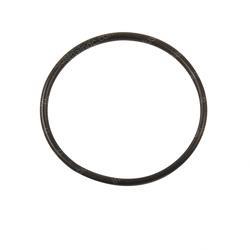 Picture of O-Ring