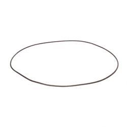 Picture of O-Ring