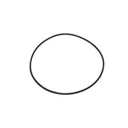 Picture of O-Ring
