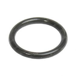 Picture of O-Ring