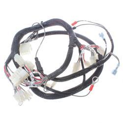 Picture of Master Wiring Harn