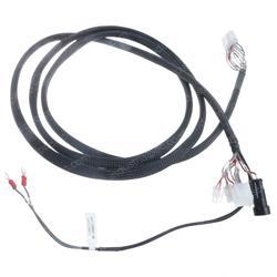 Picture of Harness
