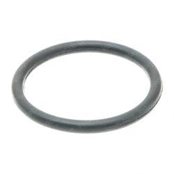 Picture of O-Ring