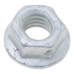 Picture of Nut