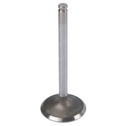 Picture of Valve - Intake