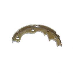 Picture of Shoe + Lining Assembly