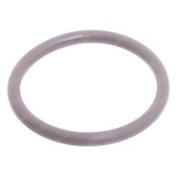 Picture of O-Ring