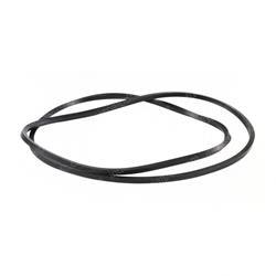 Picture of O-Ring