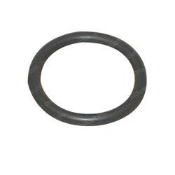 Picture of O-Ring