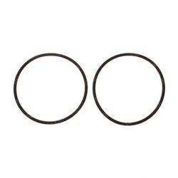 Picture of O-Ring