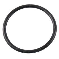 Picture of O-Ring