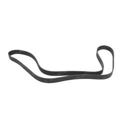 Picture of Belt - Sepentine