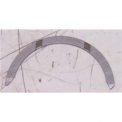 Picture of Thrust Washer (upper)