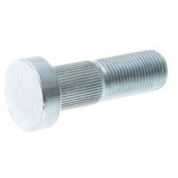Picture of Bolt