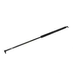Picture of Gas Spring